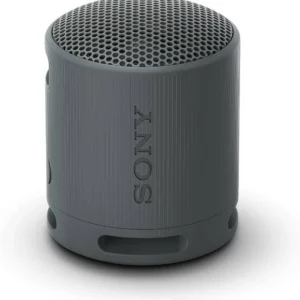Sony SRS-XB100